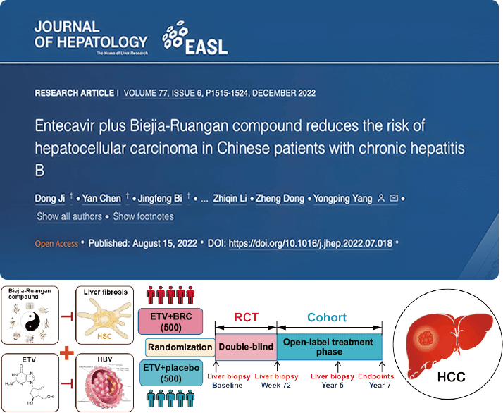 复方鳖甲软肝片联合抗病毒药物治疗，可显著降低肝癌发生
